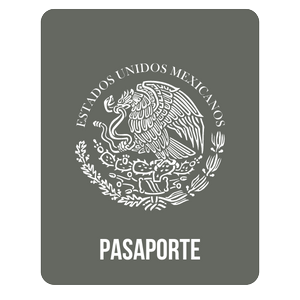Icono Servicio